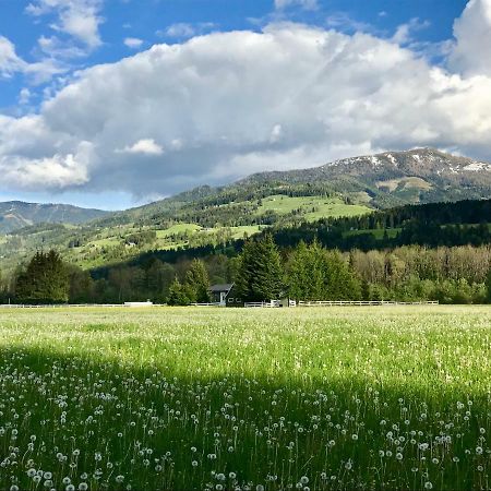 Traumhafte Wohnung Auf Pferde Ranch Aich  Exteriör bild