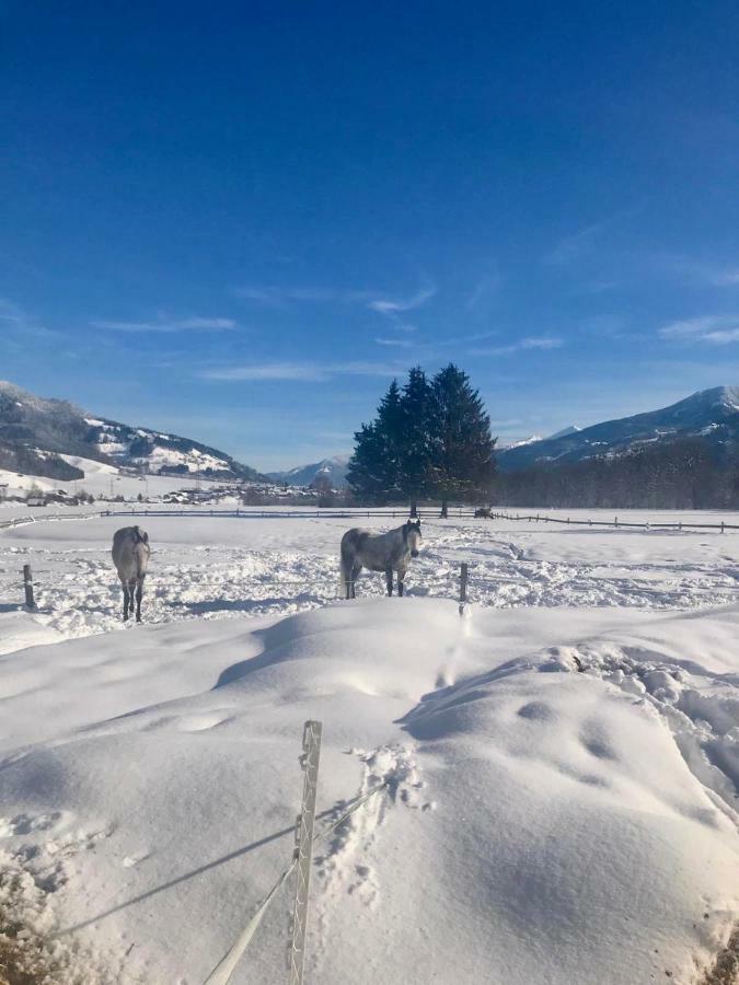 Traumhafte Wohnung Auf Pferde Ranch Aich  Exteriör bild