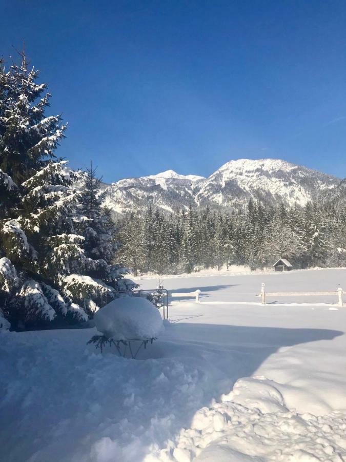 Traumhafte Wohnung Auf Pferde Ranch Aich  Exteriör bild