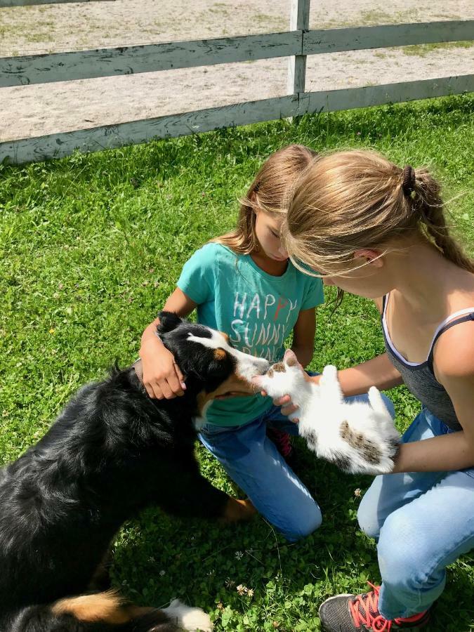 Traumhafte Wohnung Auf Pferde Ranch Aich  Exteriör bild