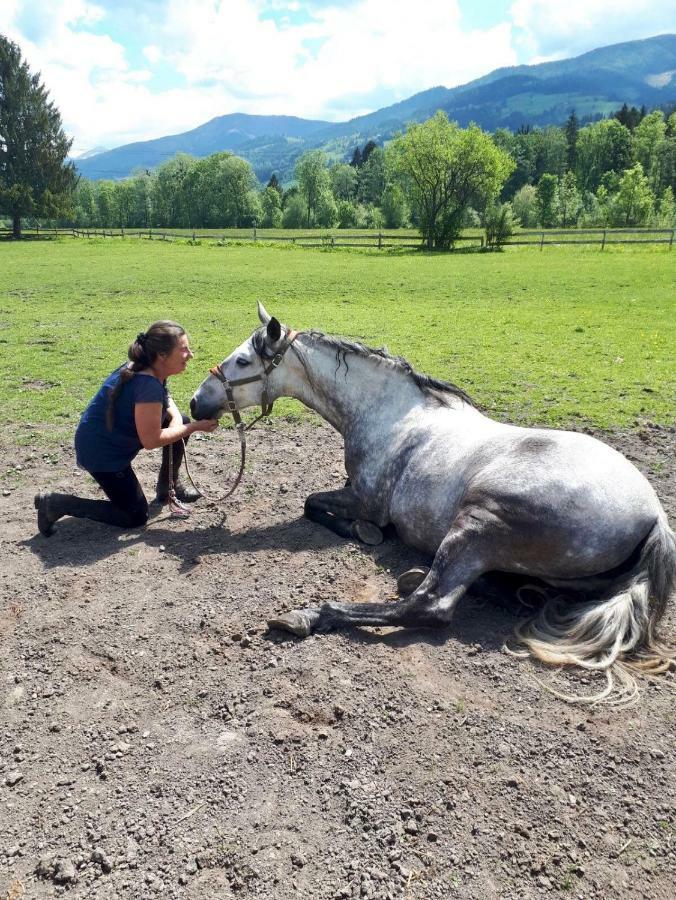 Traumhafte Wohnung Auf Pferde Ranch Aich  Exteriör bild