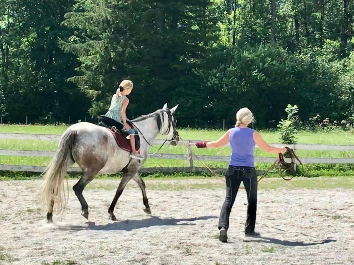 Traumhafte Wohnung Auf Pferde Ranch Aich  Exteriör bild