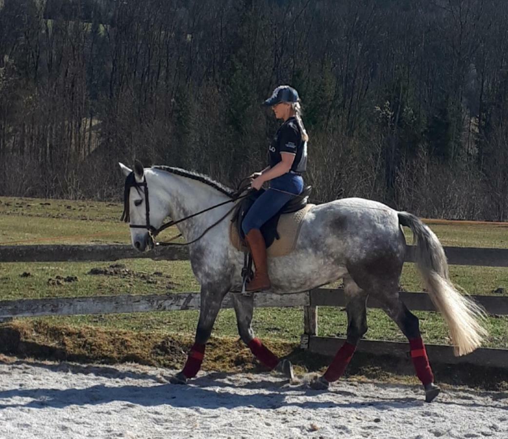 Traumhafte Wohnung Auf Pferde Ranch Aich  Exteriör bild