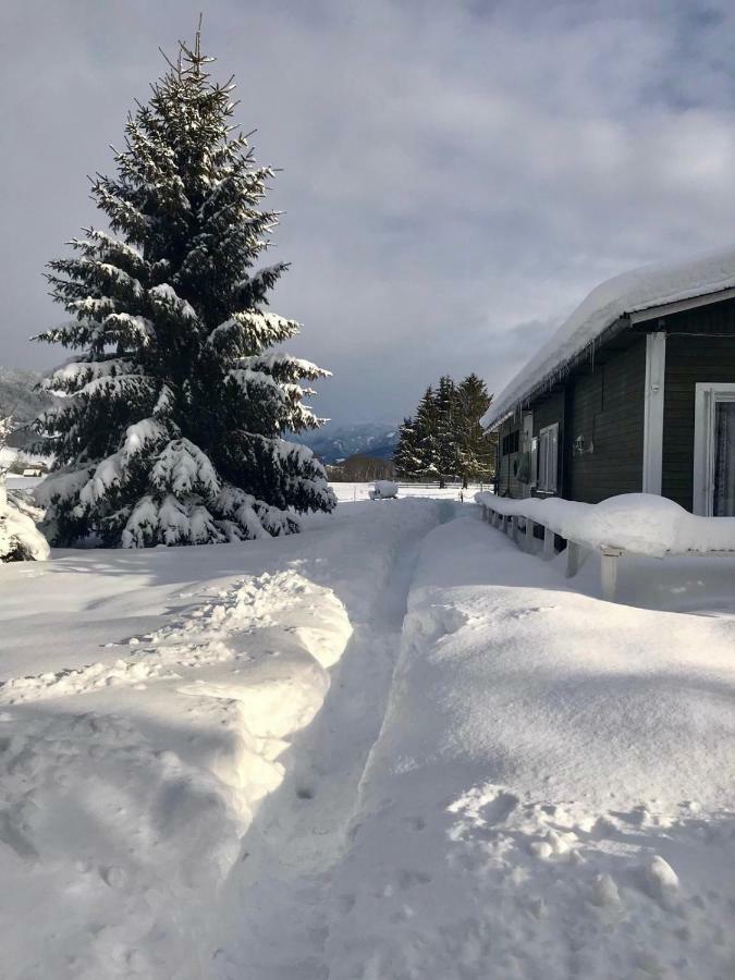 Traumhafte Wohnung Auf Pferde Ranch Aich  Exteriör bild